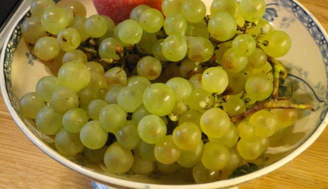 Chasselas grapes from Moissac, about 2 hours from our house.