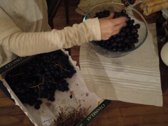 "Tirage a main"...sorting the grapes from the stems.