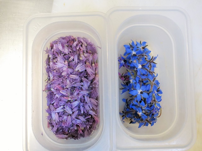 Chive blossoms and borage flowers from our garden.